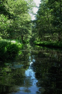 DSCF7353.JPG